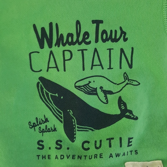 Never worn, Carters sweatshirt & shorts set - Picture 3 of 4